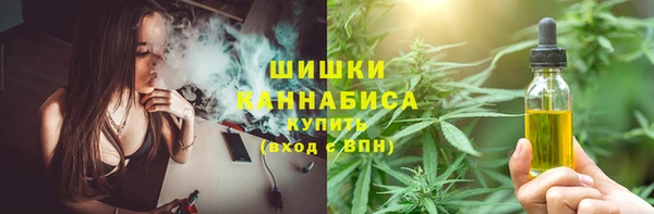 твердый Алзамай