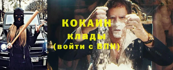 сатива Алексин