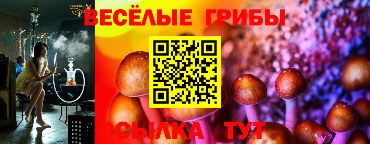 Галлюциногенные грибы ЛСД  Вход с VPN  цена   Киреевск 